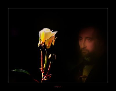 Admirer.jpg