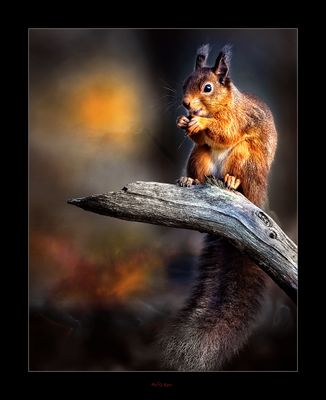 Snack Time ....jpg