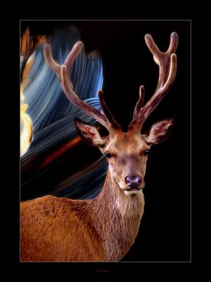 FotoFusion.jpg