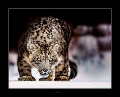 I'm Hungry .....jpg