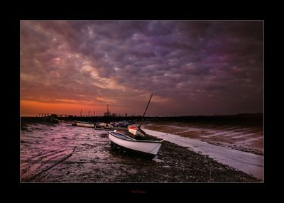 Moody Morston.jpg