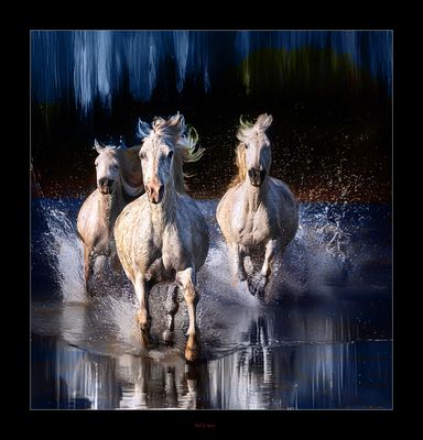 FotoFusion by Risu .....jpg