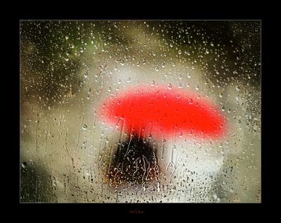 Yet Another Rainy Day.jpg