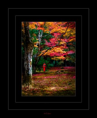 Colours of Kyoto .....jpg
