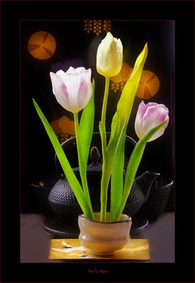 My new hobby for 2025 .... Ikebana.jpg