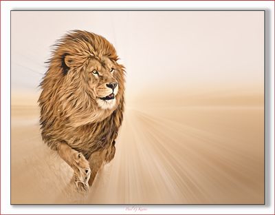 On the Prowl .....jpg