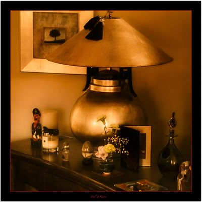 Vintage Look with Vintage Lens .....jpg