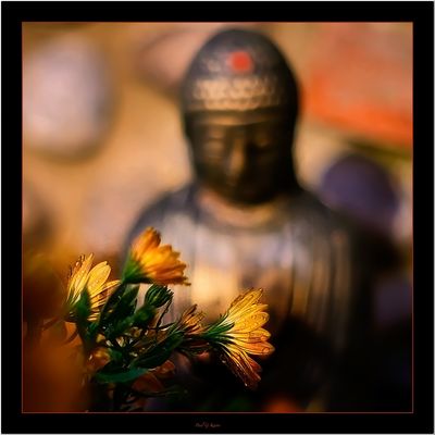 Vintage Lens Day of Zen Garden.jpg