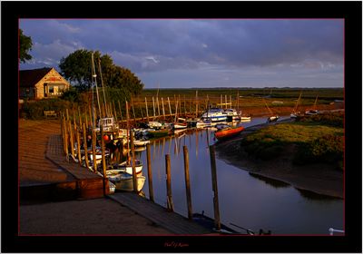 Wonder of Morning Light .....jpg