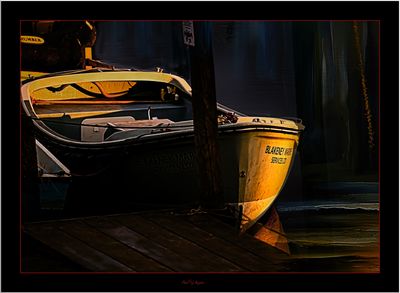 Wonder of Light.jpg