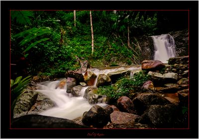 El Nido High altitude Jungle Waterfall .....jpg