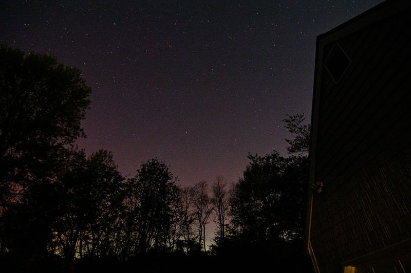 D72_9776_00001.jpg