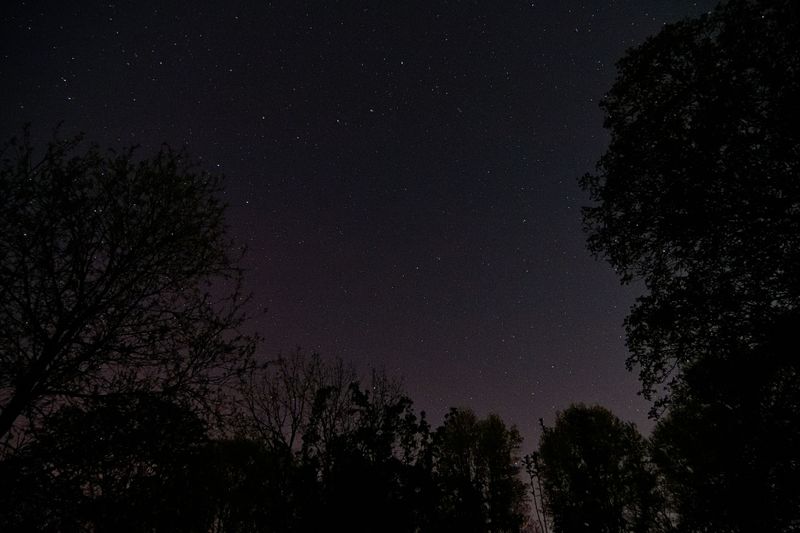 D72_9792_00002.jpg
