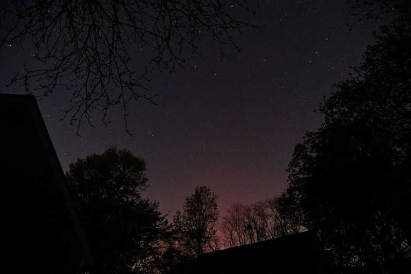 D72_9802_00003.jpg