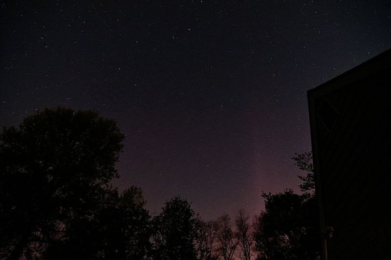 D72_9820_00005.jpg