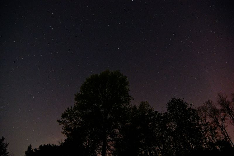 D72_9824_00006.jpg