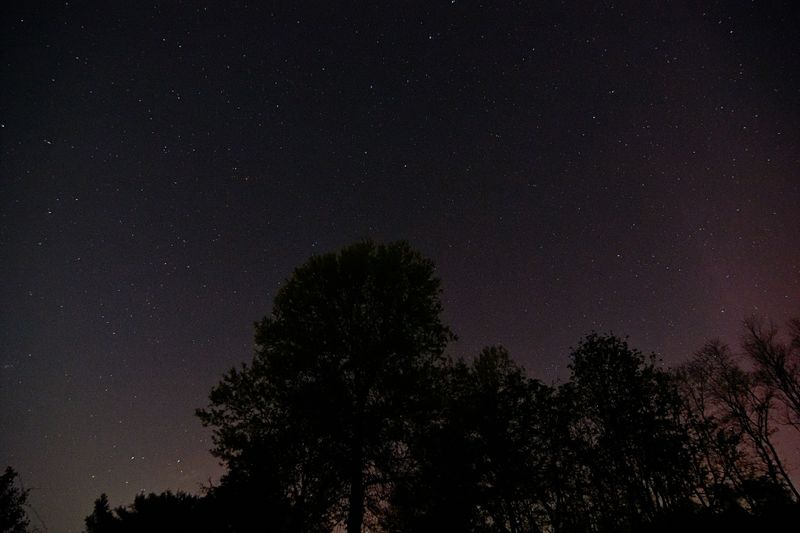 D72_9825_00007.jpg