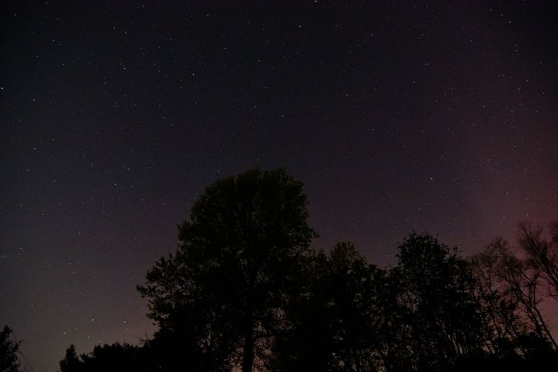 D72_9826_00008.jpg