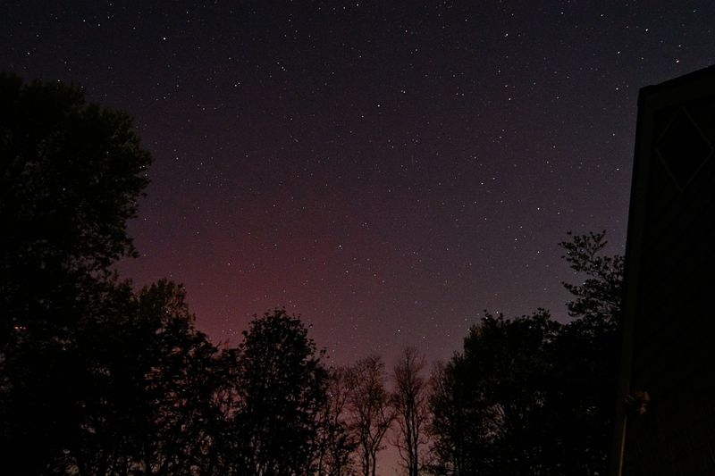 D72_9829_00009.jpg