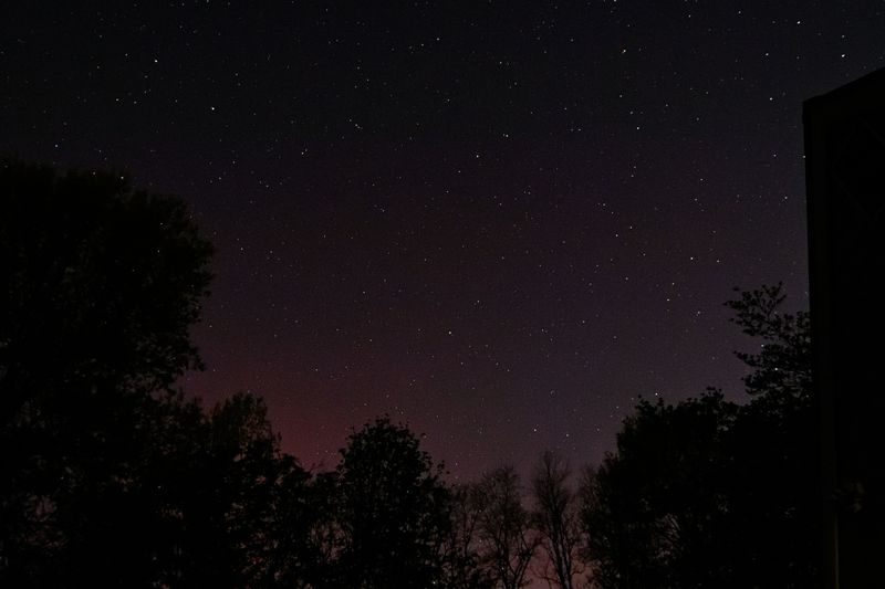 D72_9845_00010.jpg