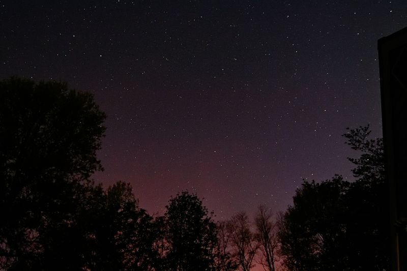 D72_9867_00011.jpg