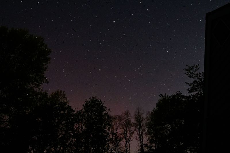D72_9946_00014.jpg