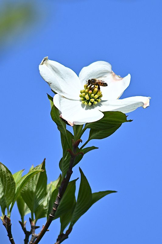 D72_9987_00008s.jpg
