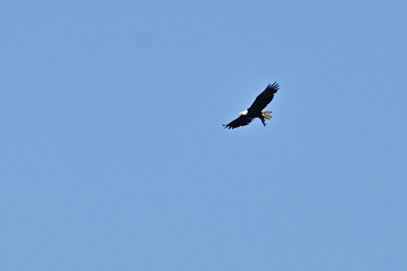 D72_0524_00010s.jpg