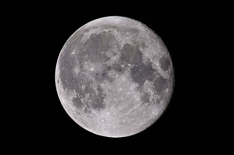 D72_1694_01_01s.jpg