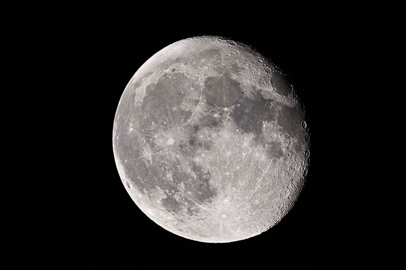 D72_1702_00002s.jpg