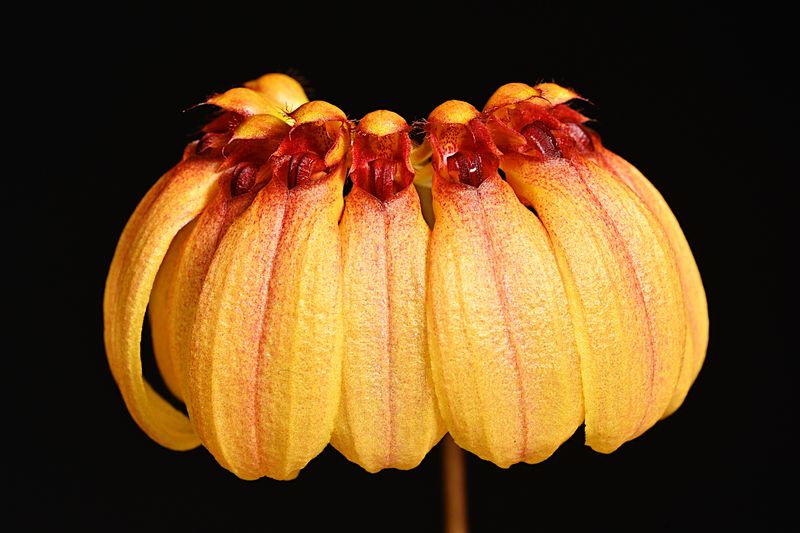 D72_1953_00005s.jpg