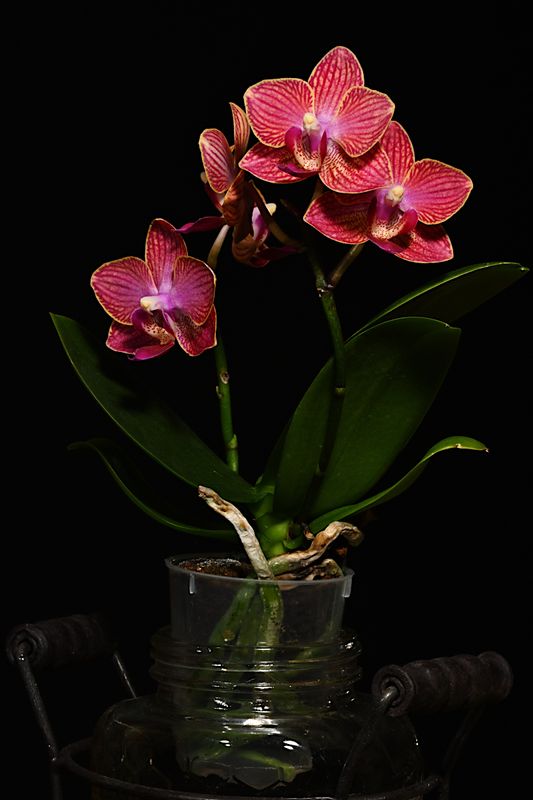 D72_1897_00014s.jpg