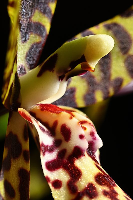 D72_2665_00017s.jpg