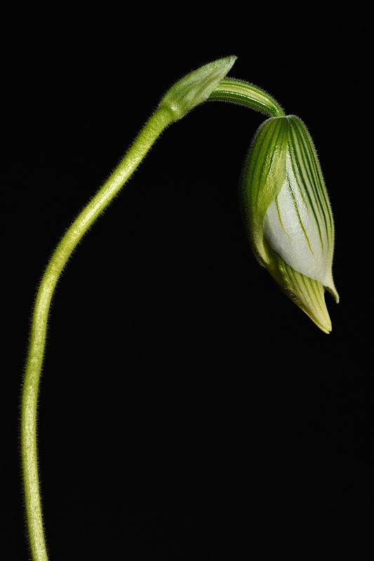 D72_2702_00001s.jpg