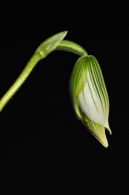 D72_2703_00002s.jpg