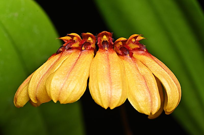 D72_2927_00008s.jpg