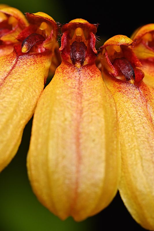 D72_2949_00011s.jpg