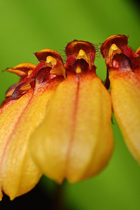 D72_2981_00014s.jpg