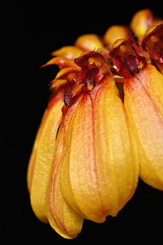 D72_3008_00018s.jpg