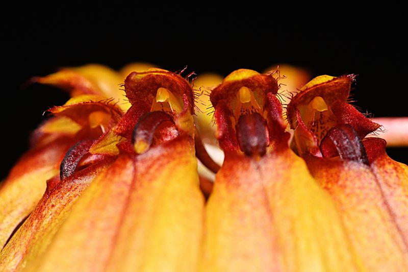 D72_3018_00021s.jpg
