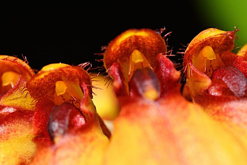 D72_3019_00022s.jpg