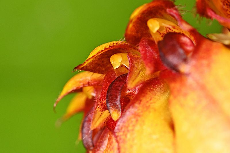 D72_3023_00023s.jpg