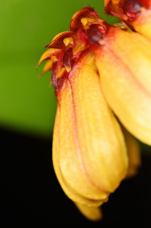 D72_3025_00024s.jpg