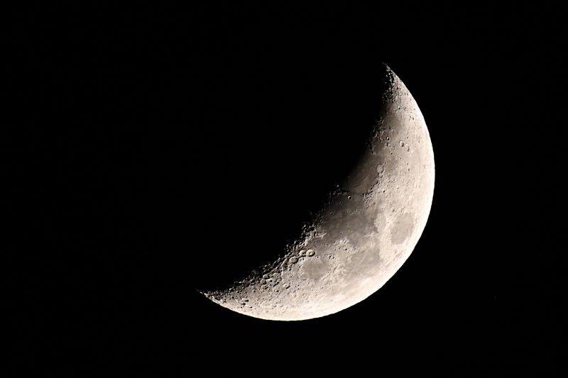 D72_3053_01s.jpg