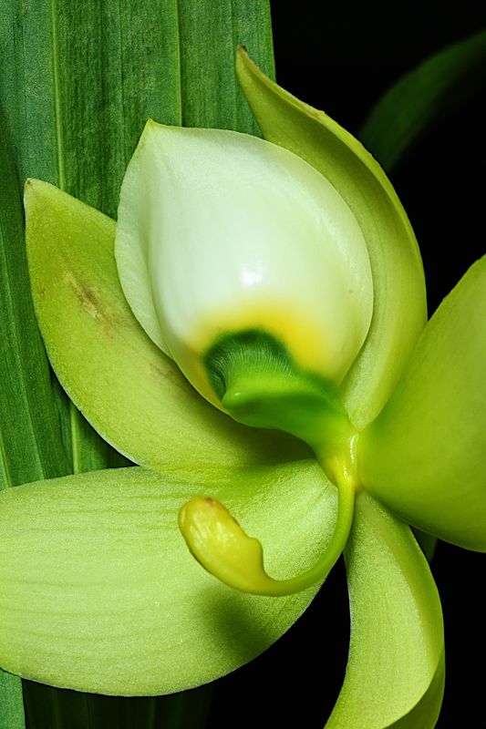 D72_3560_003s.jpg