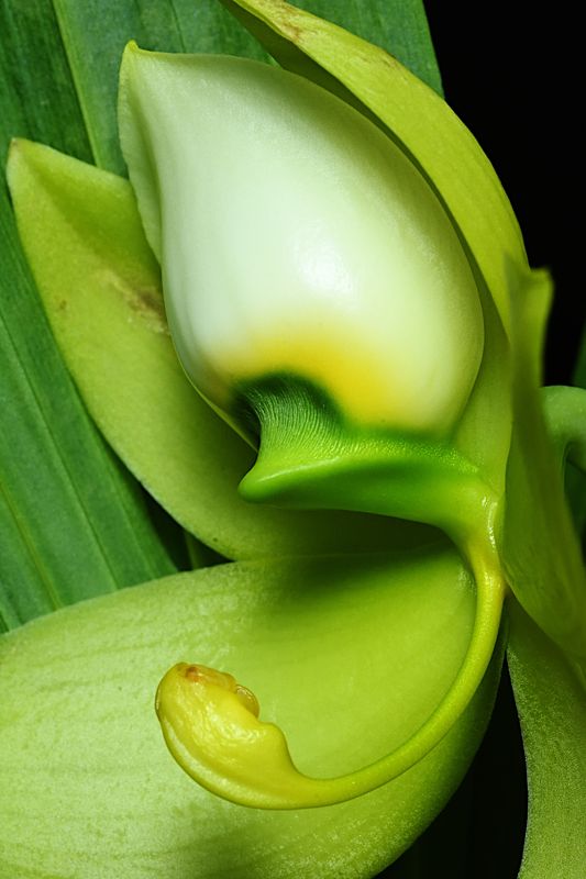 D72_3582_007s.jpg