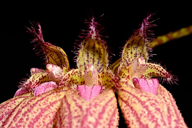 D72_4067_004s.jpg