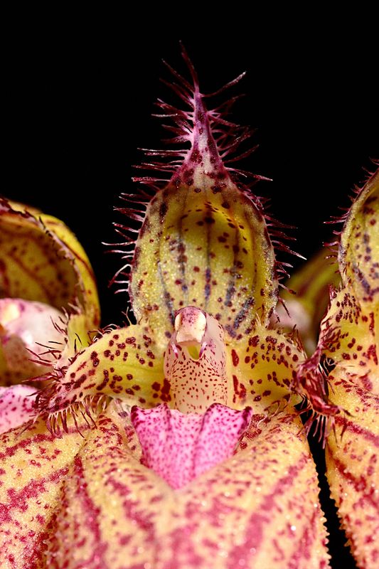 D72_4068_005s.jpg