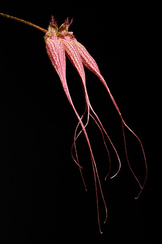 D72_4089_012s.jpg