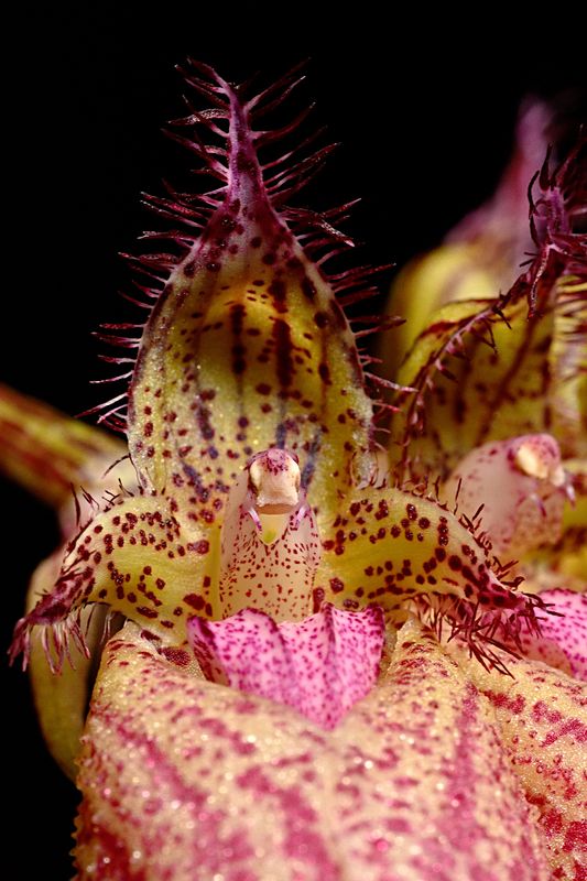 D72_4105_016s.jpg